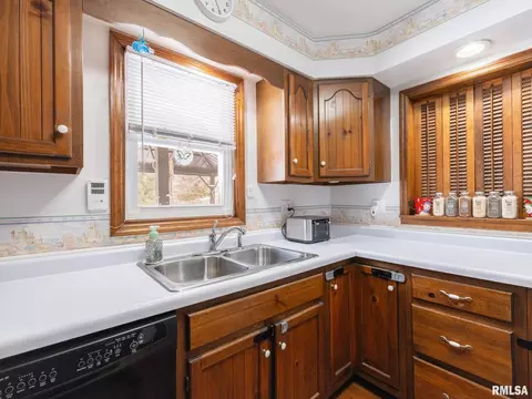 133 E Miller Rd, Edelstein, IL 61526 photo 17