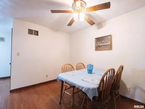 133 E Miller Rd, Edelstein, IL 61526 photo 25