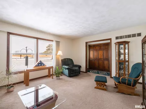 133 E Miller Rd, Edelstein, IL 61526 photo 7