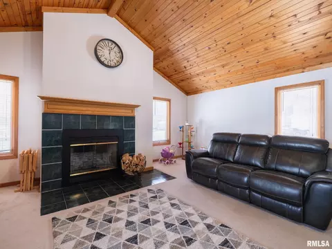 133 E Miller Rd, Edelstein, IL 61526 photo 14