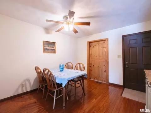 133 E Miller Rd, Edelstein, IL 61526 photo 24