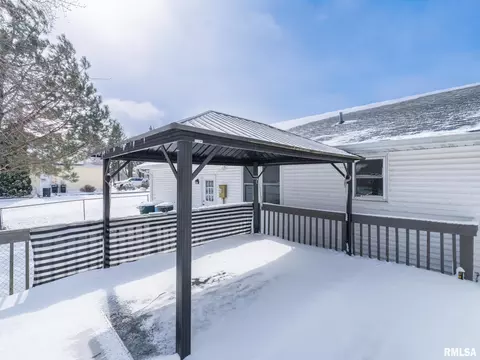 133 E Miller Rd, Edelstein, IL 61526 photo 3