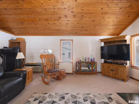 133 E Miller Rd, Edelstein, IL 61526 photo 10