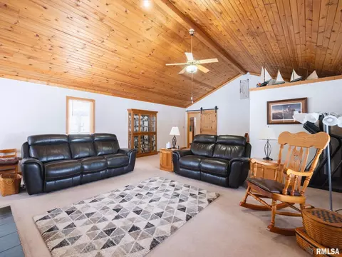 133 E Miller Rd, Edelstein, IL 61526 photo 12