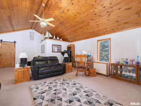 133 E Miller Rd, Edelstein, IL 61526 photo 9