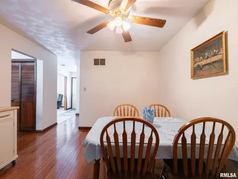133 E Miller Rd, Edelstein, IL 61526 photo 26