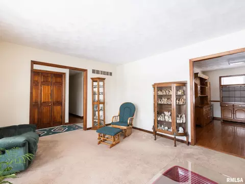 133 E Miller Rd, Edelstein, IL 61526 photo 8