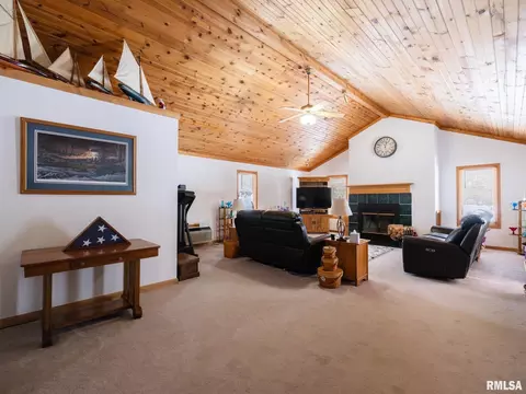 133 E Miller Rd, Edelstein, IL 61526 photo 13