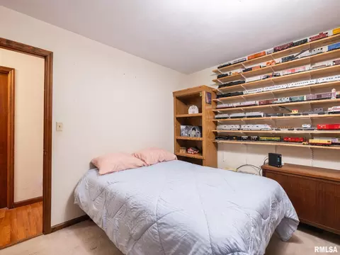 133 E Miller Rd, Edelstein, IL 61526 photo 36