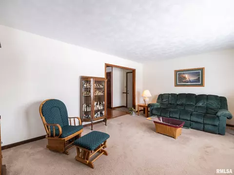 133 E Miller Rd, Edelstein, IL 61526 photo 6