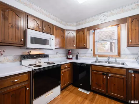 133 E Miller Rd, Edelstein, IL 61526 photo 16