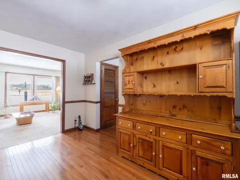 133 E Miller Rd, Edelstein, IL 61526 photo 20