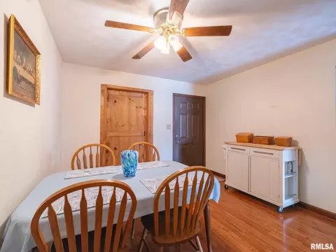 133 E Miller Rd, Edelstein, IL 61526 photo 27