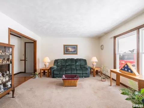 133 E Miller Rd, Edelstein, IL 61526 photo 5