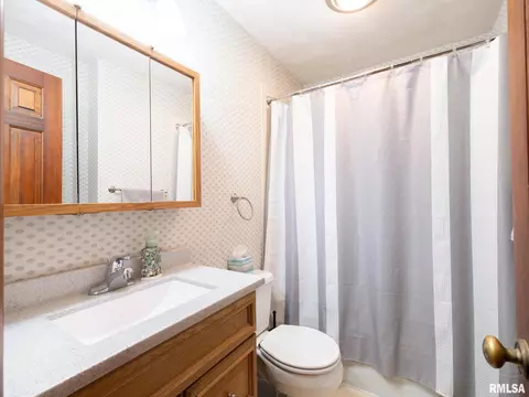 133 E Miller Rd, Edelstein, IL 61526 photo 37