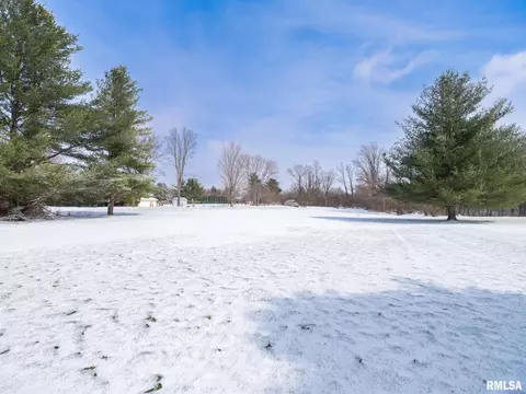 133 E Miller Rd, Edelstein, IL 61526 photo 42