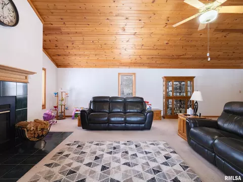 133 E Miller Rd, Edelstein, IL 61526 photo 11