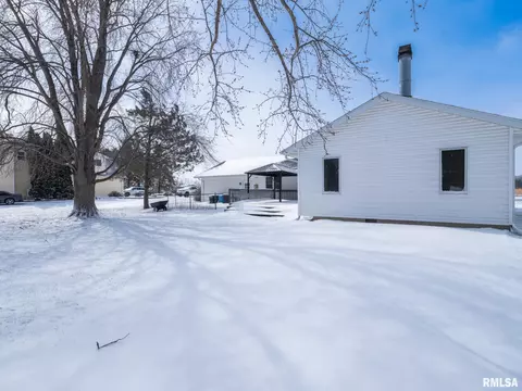 133 E Miller Rd, Edelstein, IL 61526 photo 39