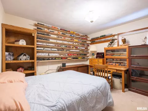 133 E Miller Rd, Edelstein, IL 61526 photo 35
