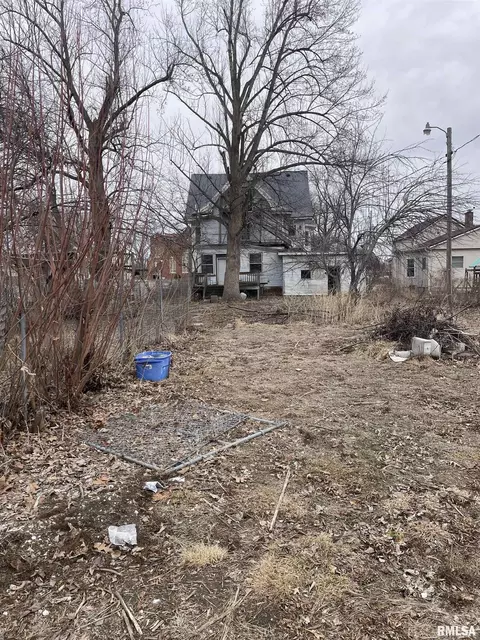 Exterior - 203 E Washington St, Avon, IL 61415 photo 3 of 4