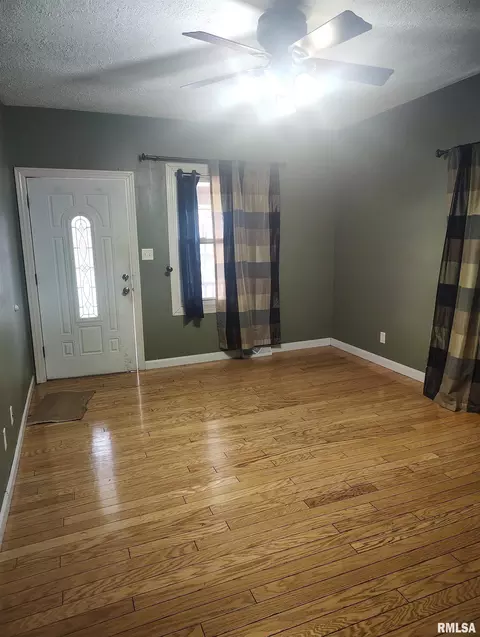 Other - 646 E Locust St, Canton, IL 61520 photo 7 of 7
