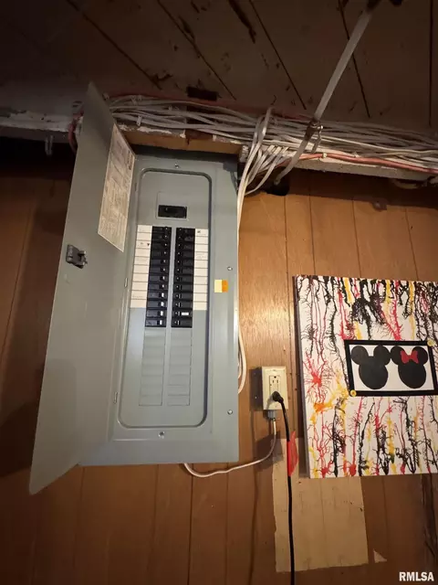 Other - 422 N Randolph St, Macomb, IL 61455 photo 3 of 4