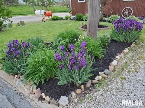 Exterior - 706 N State St, Roanoke, IL 61561 photo 5 of 10
