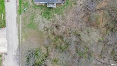S Whittingham Cove, Mapleton, IL 61547 photo 9