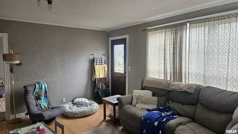 Other - 146 E Polk St, Cuba, IL 61427 photo 4 of 10