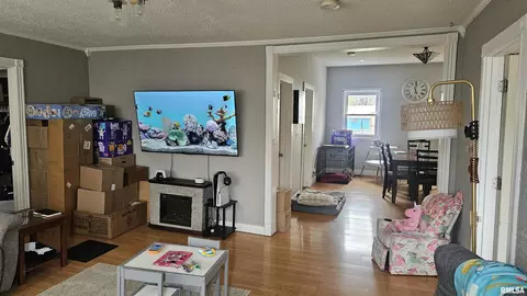 Other - 146 E Polk St, Cuba, IL 61427 photo 5 of 10