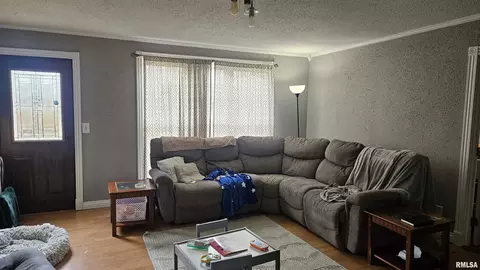 Other - 146 E Polk St, Cuba, IL 61427 photo 3 of 10