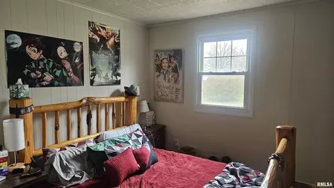 Bedroom - 146 E Polk St, Cuba, IL 61427 photo 2 of 3