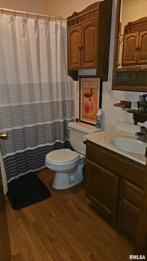 Bath - 658 Keeling Ct, Canton, IL 61520 photo 3 of 5