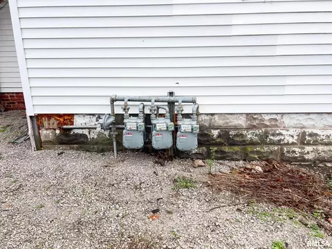 Exterior - 208 N Myers St, Eureka, IL 61530 photo 6 of 7