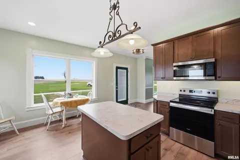 Kitchen - 22014 N Route 40, Edelstein, IL 61526 photo 3 of 4