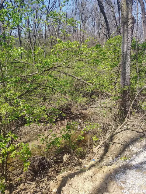 Other - 1824 Riverview Dr, Macomb, IL 61455 photo 2 of 14