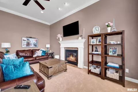 11016 N Moonstone Ct, Dunlap, IL 61525 photo 22