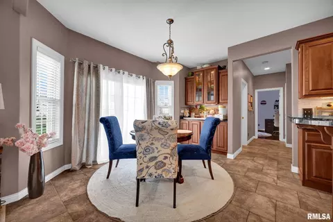 11016 N Moonstone Ct, Dunlap, IL 61525 photo 24