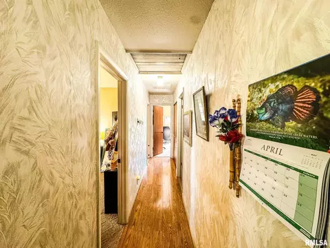 Entry Way - 15789 Corinth Rd, Marion, IL 62959 photo 1 of 3
