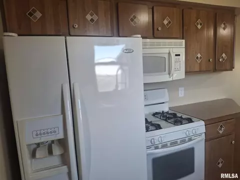 Kitchen - 515 Walnut St, Varna, IL 61375 photo 4 of 4