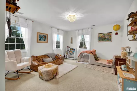 Other - 12803 N Georgetowne Rd, Dunlap, IL 61525 photo 12 of 19