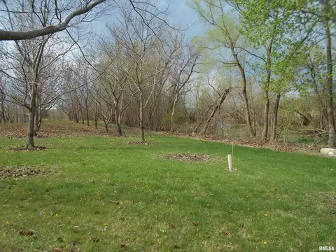 16172 E 100th St, Blandinsville, IL 61420