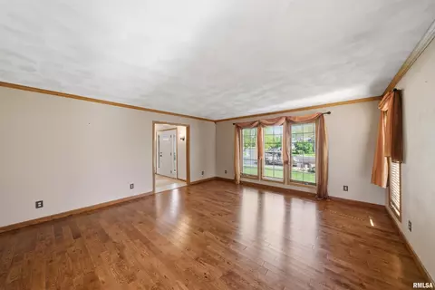 Living - 1115 Tottenham Ct, Washington, IL 61571 photo 3 of 9