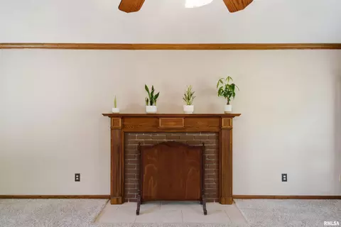 Living - 1115 Tottenham Ct, Washington, IL 61571 photo 9 of 9