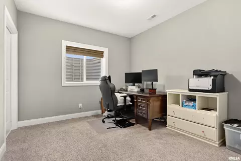 Other - 11316 N Chesapeake Ln, Dunlap, IL 61525 photo 12 of 17