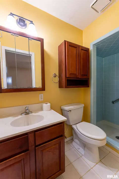 Bath - 210 Riss Dr, Normal, IL 61761 photo 1 of 4