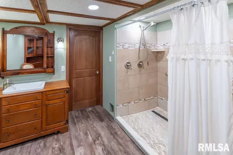 Bath - 14509 N Centerville Rd, Edelstein, IL 61526 photo 8 of 8