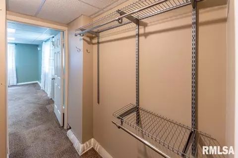 Other - 14509 N Centerville Rd, Edelstein, IL 61526 photo 16 of 22