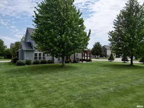 Exterior - 11003 N Moonstone Ct, Dunlap, IL 61525 photo 10 of 14