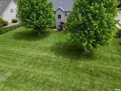 Exterior - 11003 N Moonstone Ct, Dunlap, IL 61525 photo 11 of 14